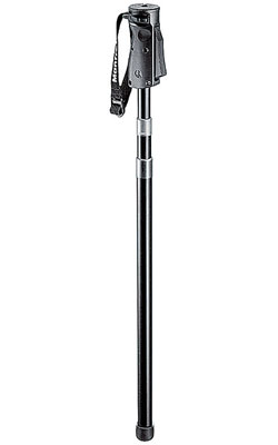 monopod_1.jpg