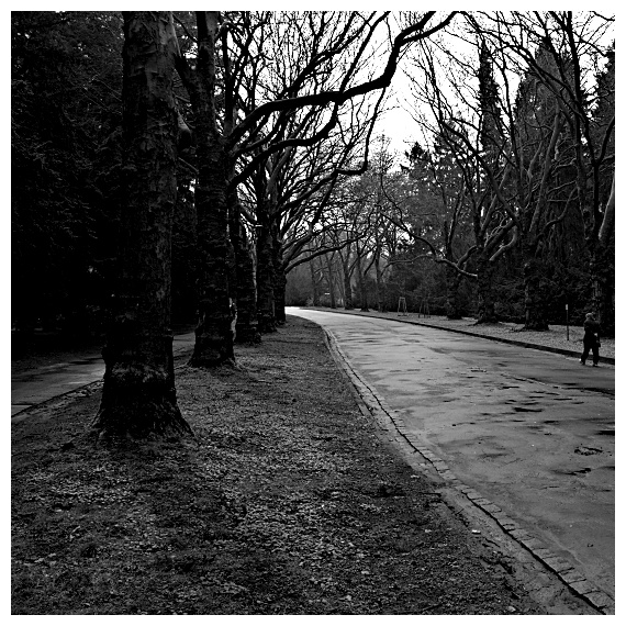 Szczecin, Cmentarz Centralny