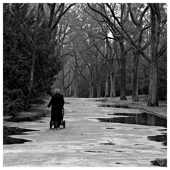 Szczecin, Cmentarz Centralny