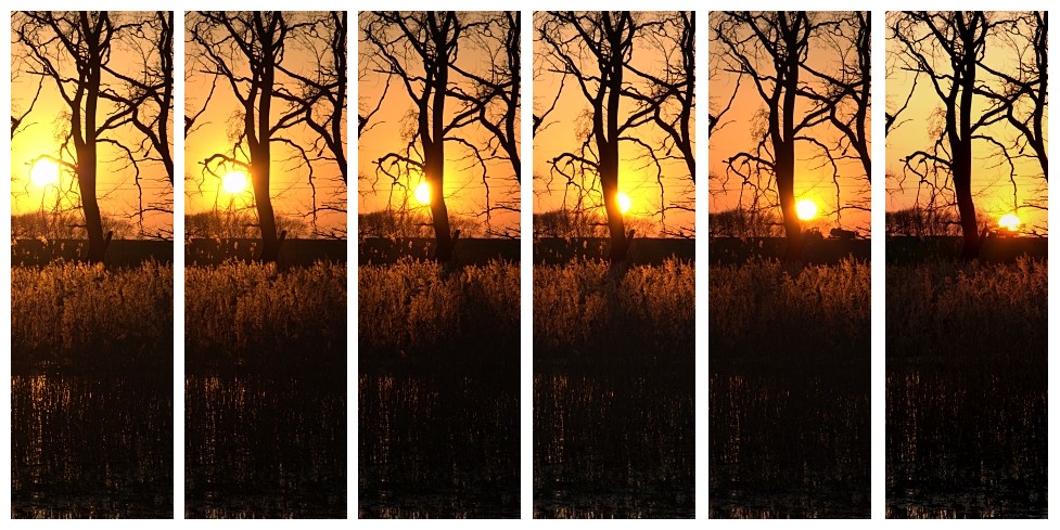 zach__d w 7 ods__onach