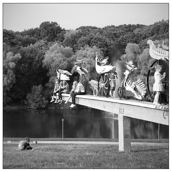 Ptaki Hasiora w Parku Kasprowicza