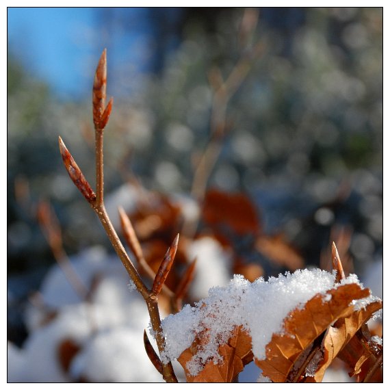 W piątek spadł śnieg