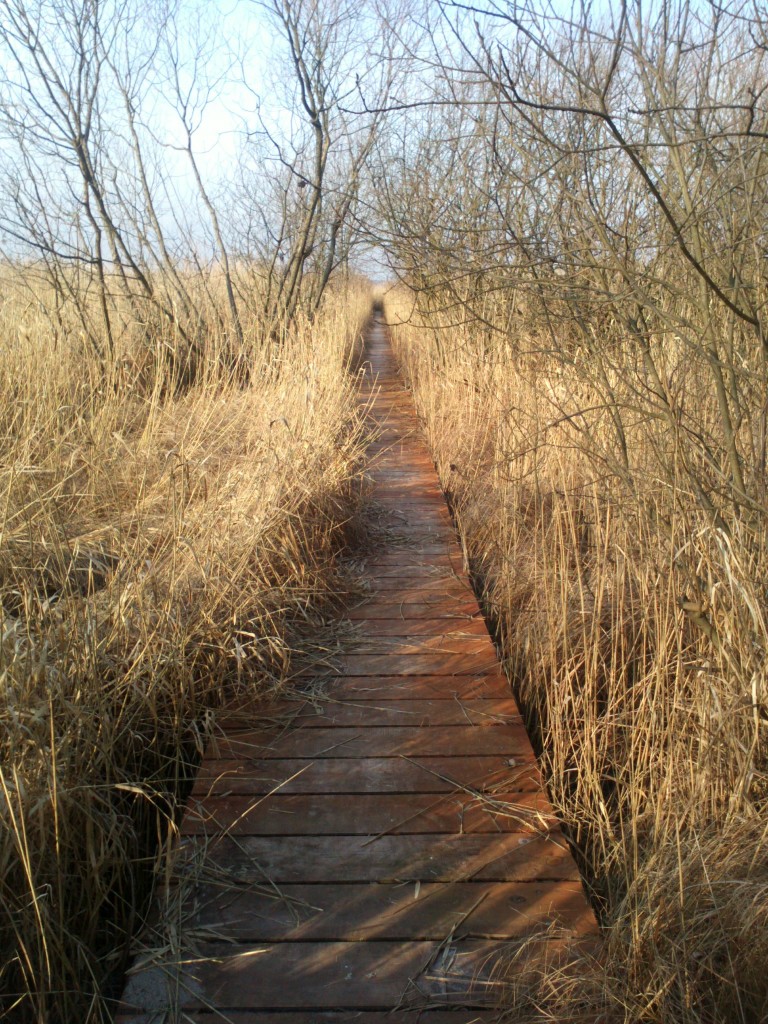 Kładka Jezioro Świdwie