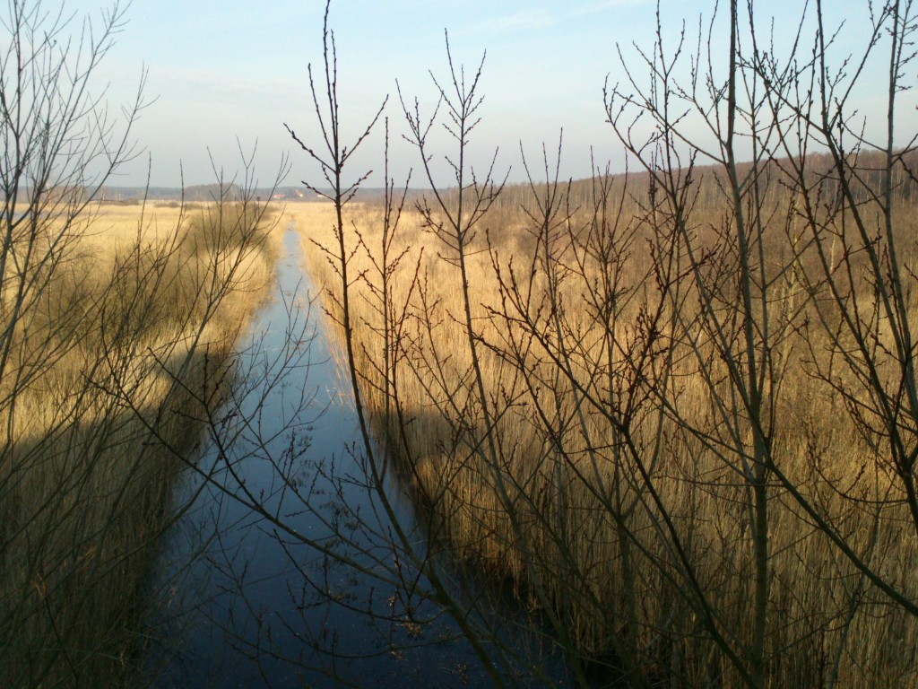 Kanał prowadzący do Widok na Jeziora Świdwie