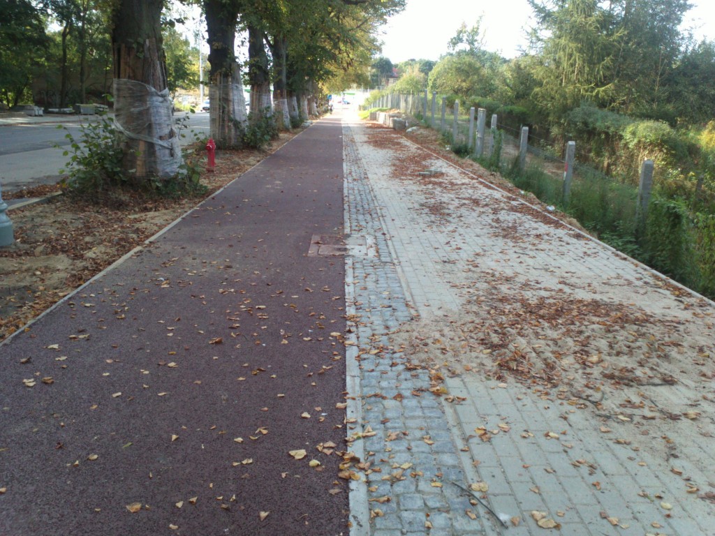 Asfaltowa ścieżka rowerowa