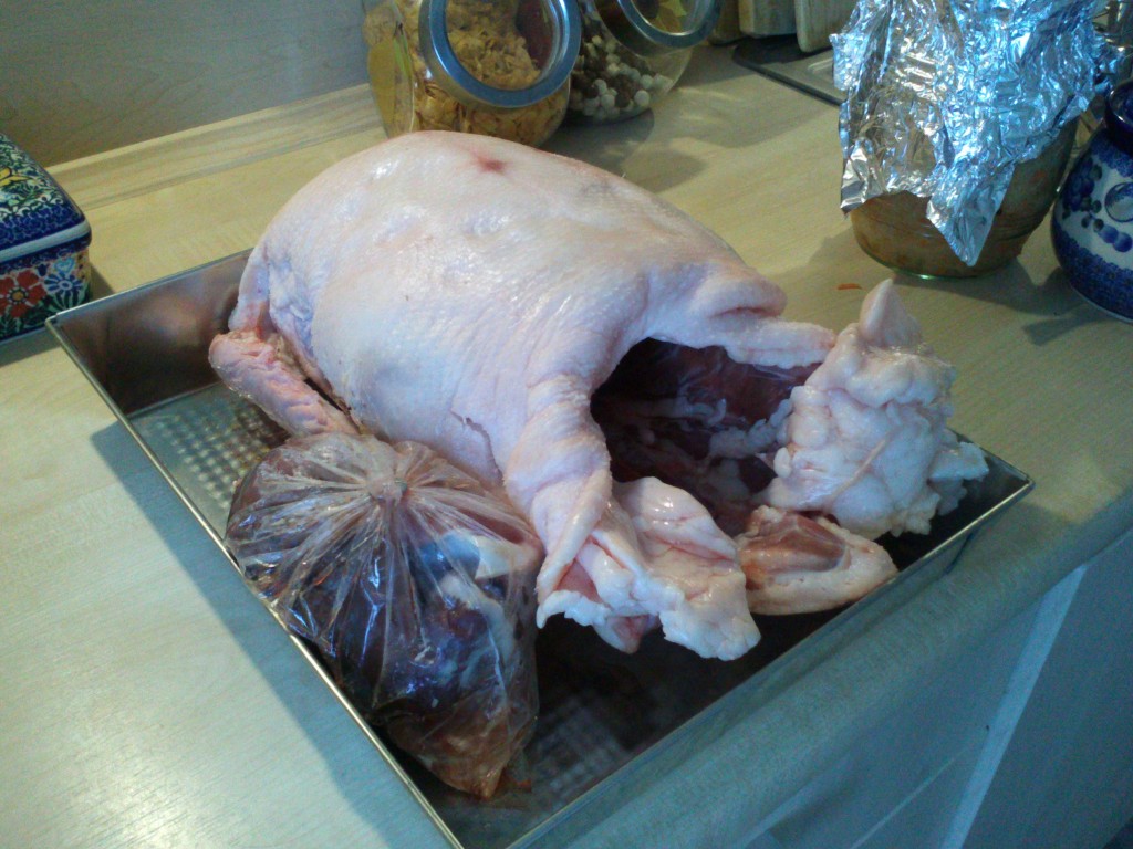 Gęś po rozmrożeniu