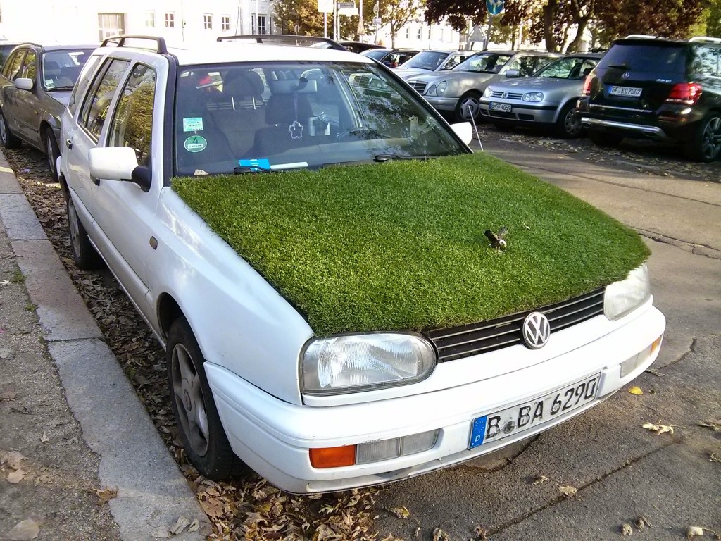 Golf z trawą na masce