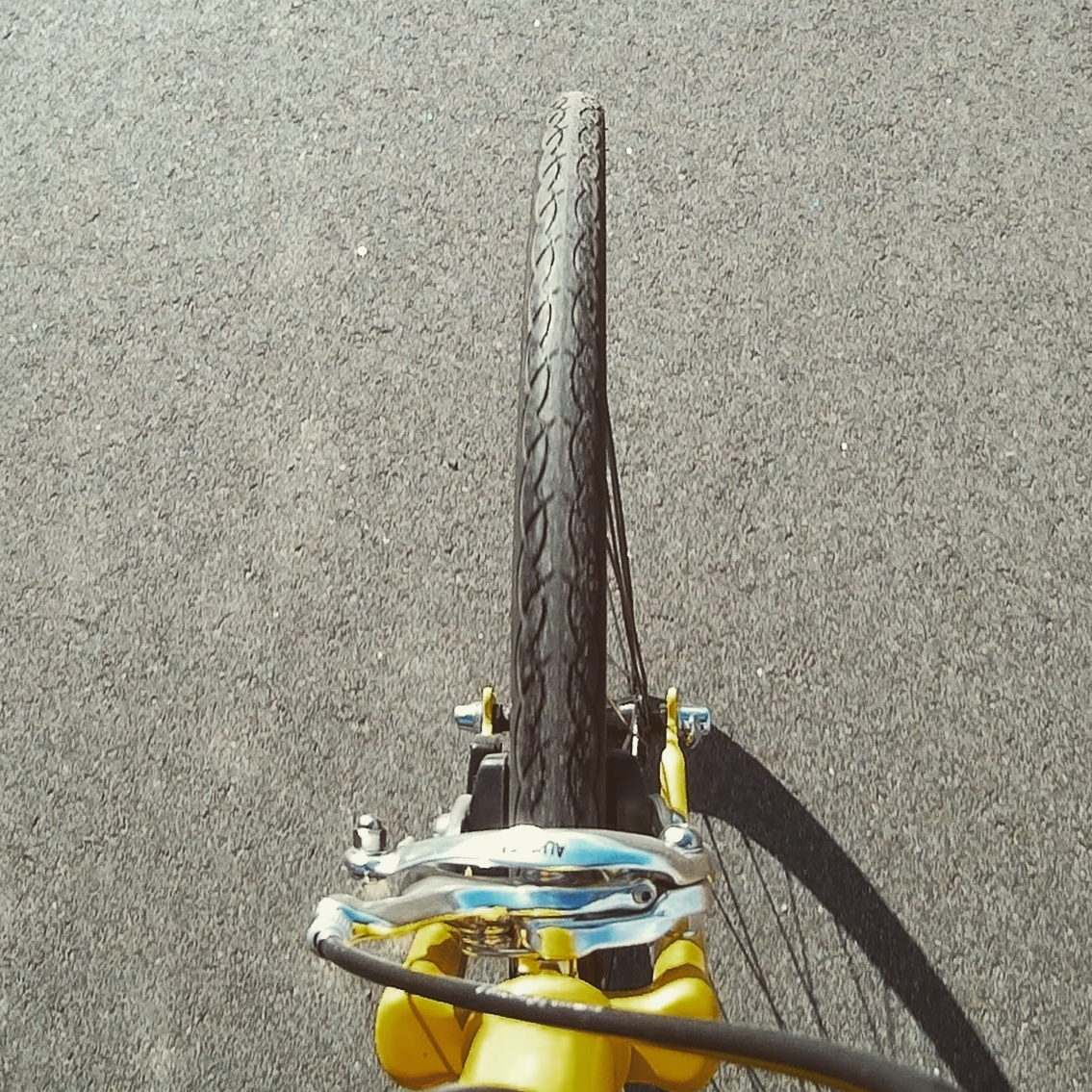 wp-1425879824906 image