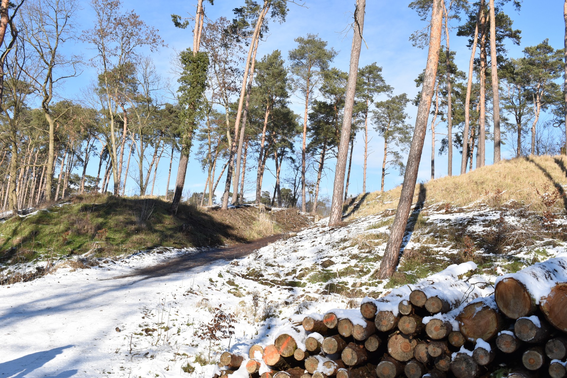 Widuchowa taras widokowy